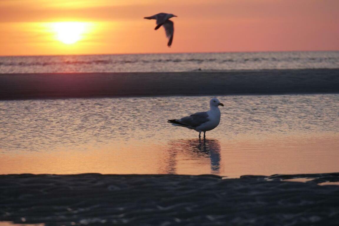 Fewo Buesum - Bella Mare - Nordseestrasse 3 外观 照片